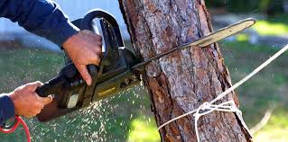 Best Lot and Land Clearing  in Antelope, CA